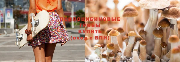 бутират Алексин