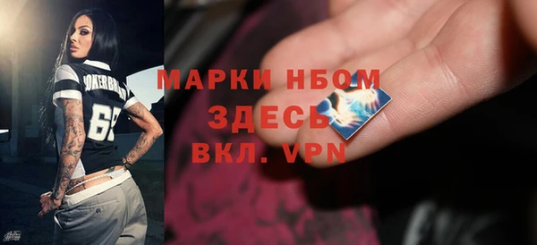 стаф Алзамай