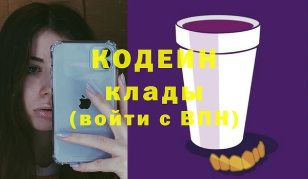 амф Заволжье