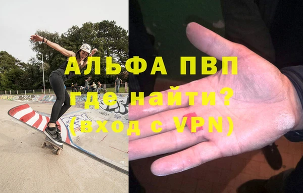 стаф Алзамай