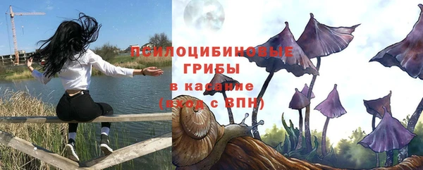 бутират Алексин