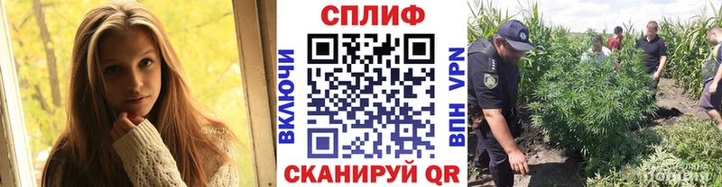 Шишки марихуана план  Арзамас 